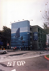 1997 - USA 88 (San Francisco - Pier 39 - Fresque de Wyland)
